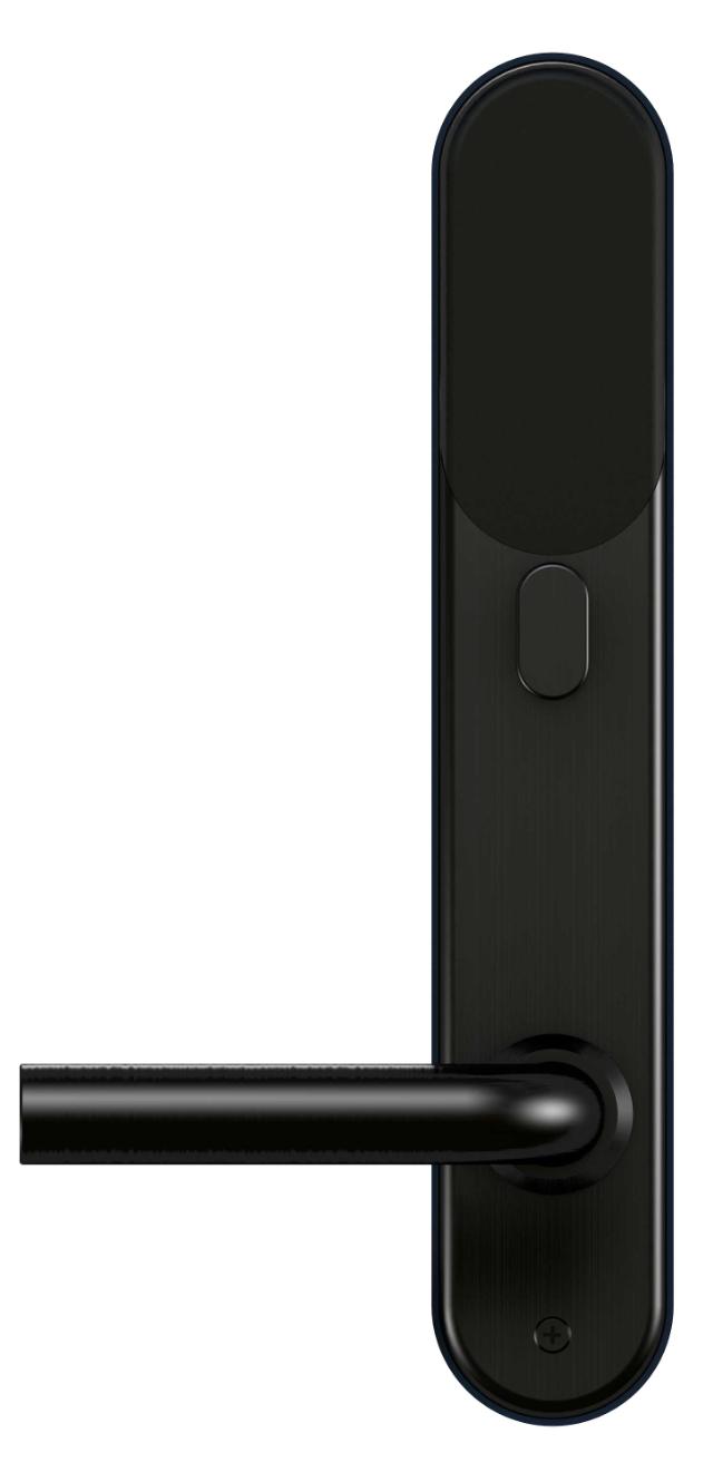 Smart Lock BG5000, sort, t/oval cyl.