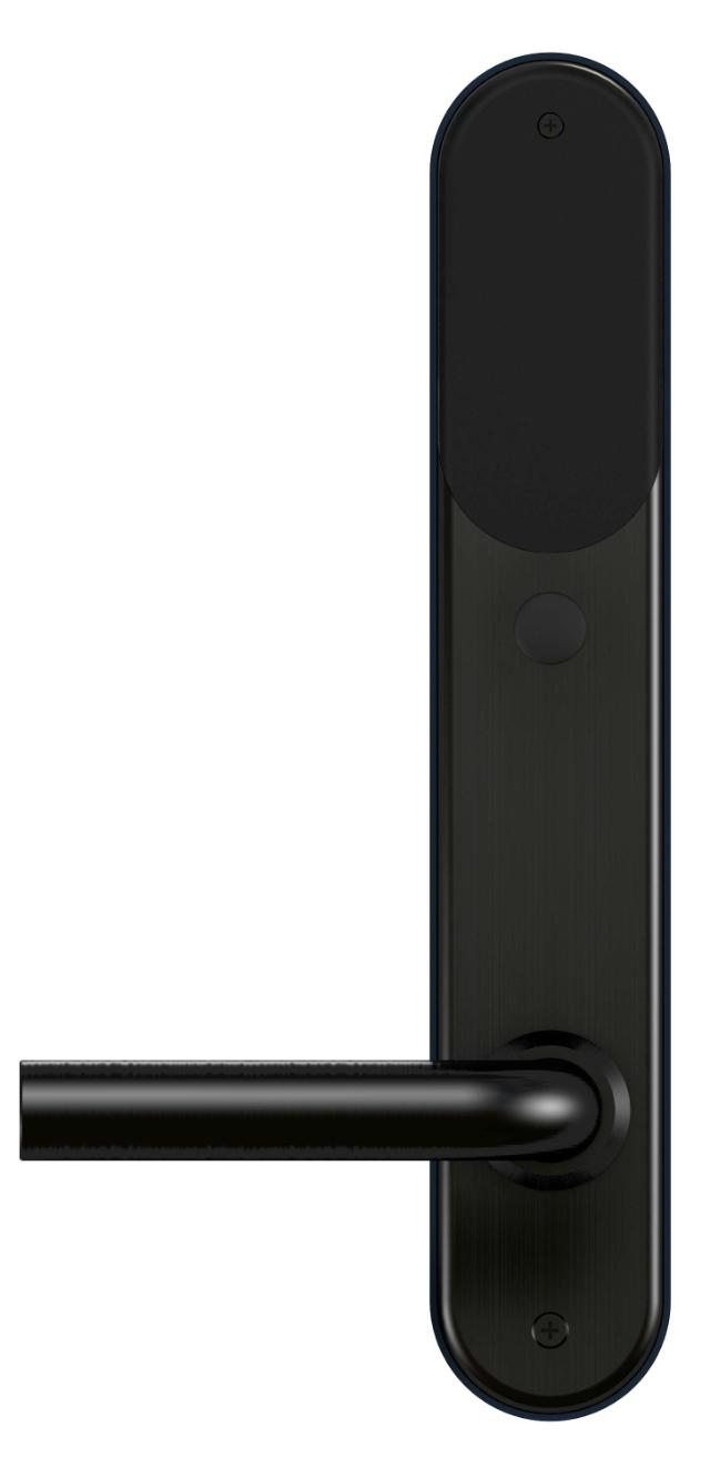 Smart Lock BG5000, sort, t/oval cyl.